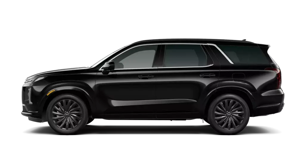 2025 Hyundai Palisade - Black Pearl