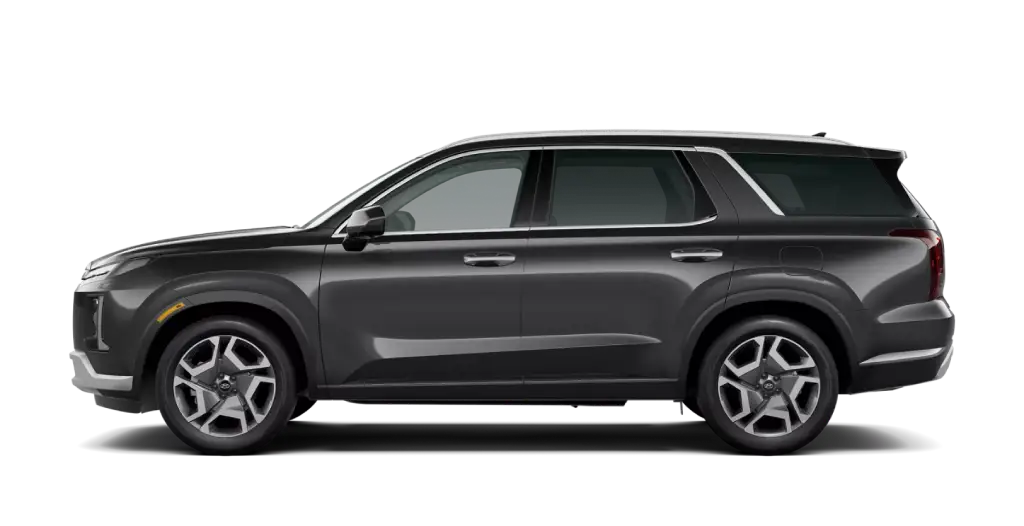 2025 Hyundai Palisade - Steel Graphite