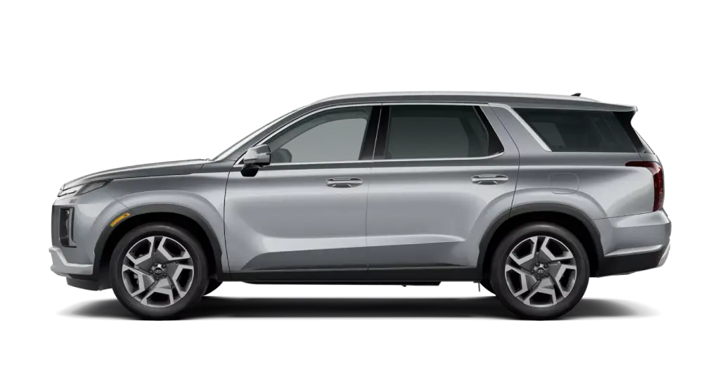 2025 Hyundai Palisade - Typhoon Silver